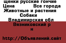 щенки русские гончие › Цена ­ 4 000 - Все города Животные и растения » Собаки   . Владимирская обл.,Вязниковский р-н